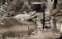 Restored Crystal Palace dinosaurs