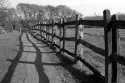 Highlight for Album: Out in the Country