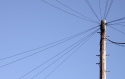 Telegraph Pole, Haynes Lane
