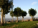Highlight for Album: Monteriggioni &amp; Monticiano
