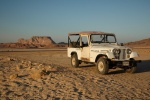 Highlight for Album: Sinai Desert