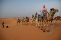 Highlight for Album: Into the desert