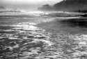 Highlight for Album: On the beach