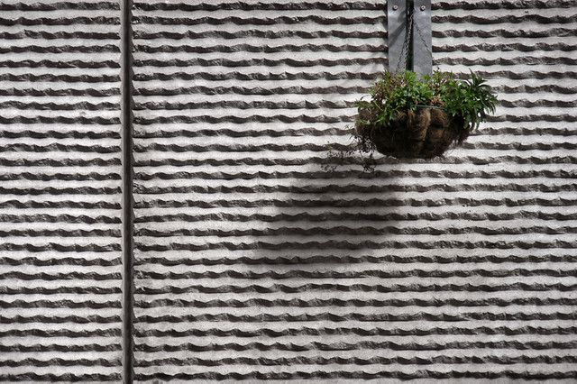 Pattern
