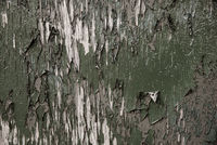 Texture