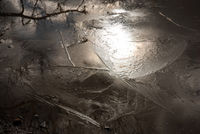 Highlight for album: Light and Shadow
