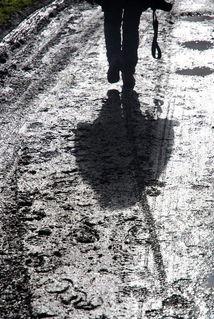 Shadow as subject